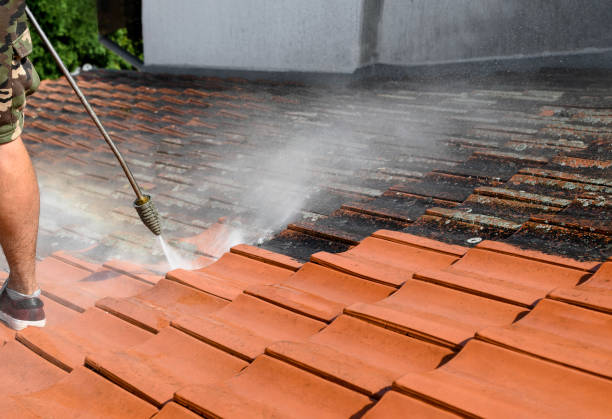  Lorton, VA Pressure Washing Pros