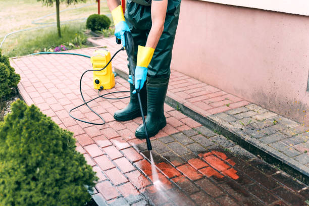 Best Roof Power Washing Services  in Lorton, VA